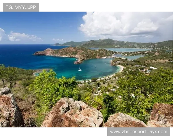 安提瓜跳水队在国际比赛中表现亮眼，安提瓜投资移民